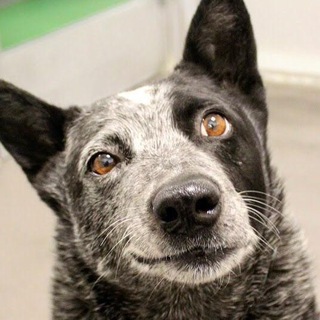 Логотип @neymovirno - Неймовірно