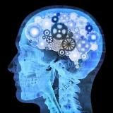 Нейропсихология🧠 | Дети | Психология| Развитие🙆