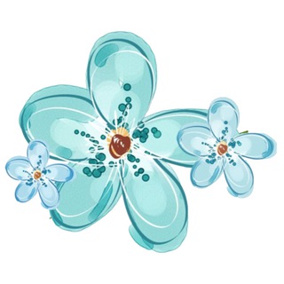 Логотип @nezabudkakotlas - Незабудка•Брафиттинг•Котлас