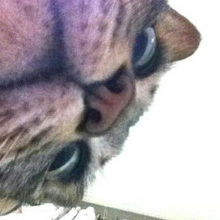 Логотип @nezartyby - Я не жартую