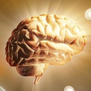 Логотип @nezavisimaya_golosangela - чутье ✓