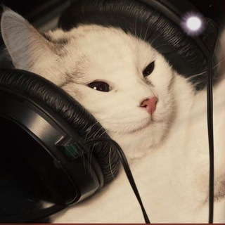 Логотип @nezhnoeeto_muz - Нежное это.Музыка.