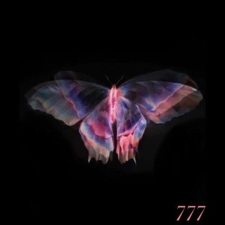 Логотип @nftalphaa - Niffera‘s alpha