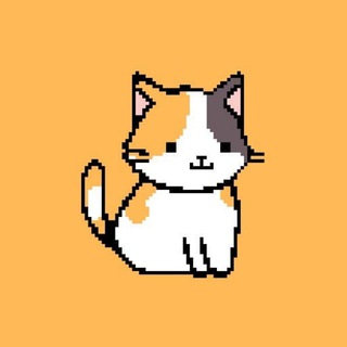 Логотип @nftcat_chat - NFT CAT Chat