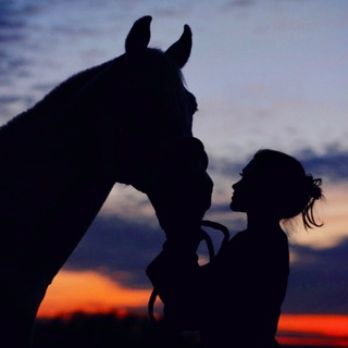 Логотип @nfthorseton - My Horse