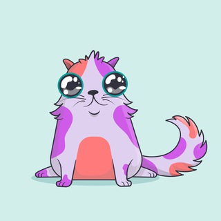 Логотип @nftkotin - Crypto NFTkotina