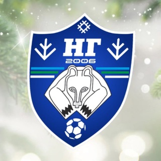 Логотип @ng_sykt - ФК "Новая генерация" (Сыктывкар)