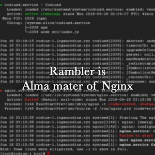 Логотип @nginx_channel - Nginx papers