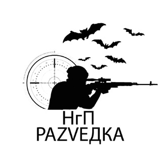 Логотип @ngp_razvedka_chat - НгП Z Chat