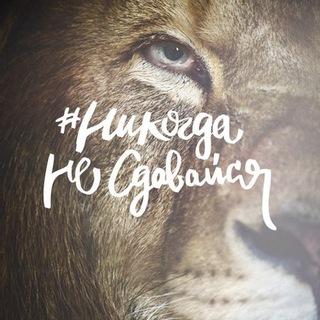 Логотип @ngutoday - НИКОГДА НЕ СДАВАЙСЯ