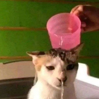 Логотип @nicenicenicedawg - Dawg