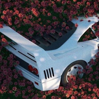 Логотип @nicerthansilencemusicforcar - MUSIC FOR CAR | °NicerThanSilence°