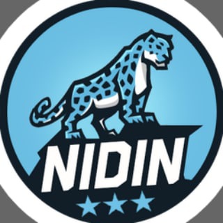 Логотип @nidin_man - __NIDIN__