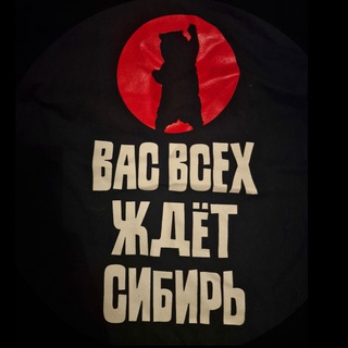 Логотип @niemandswasser - Ortega Z 🇷🇺