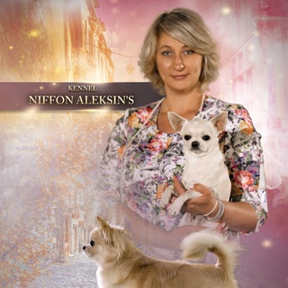 Логотип @niffonaleksins - Питомник Niffon Aleksin's Чихуахуа, сиба ину