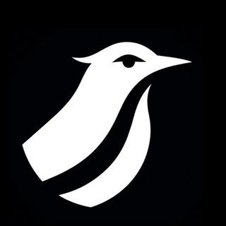 Логотип @nightingale_int - Nightingale Int.