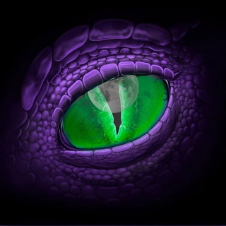 Логотип @nightreptiletown - NightReptileTown🌃