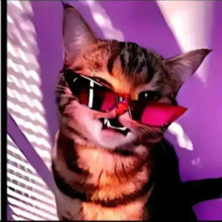 Логотип @nikita200347 - Песни 🫥🫥🫥