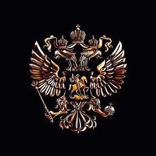 Логотип @nikitavito - Встаём и Идём🦿