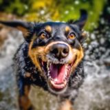 Логотип @nikogdee - НИКОГДЕ