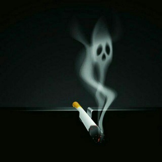 Логотип @nikolaipetrenko161rus - 🏴‍☠️Николай Петренко🏴‍☠️