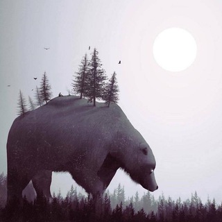 Логотип @nikolasson - Ніколассон