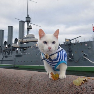 Логотип @nikolayganchuk - Николай Z Ганчук История и современность