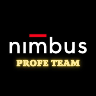 Логотип @nimbuskz - ✅Nimbus PROFE team