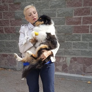 Логотип @ninabogaevskayapeterburg - Нина Богаевская