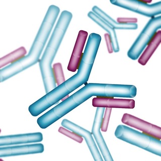 Логотип @ninavaccina - ninavaccina