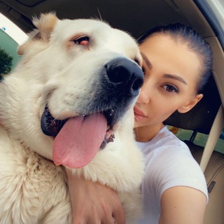 Логотип @ninel_helpdogs - Ninel7058