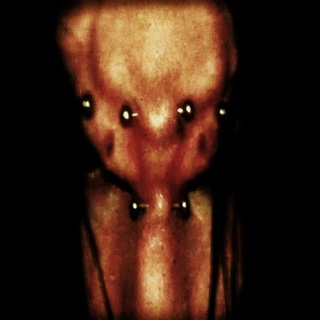 Логотип @ninemiceveryday - .