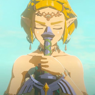 Логотип @nintendo_zh_g - 果任🌰軟索🪢谷🌾和卡拉卡拉石