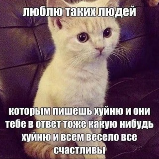 Логотип @nipyfl - Джимева флудилка