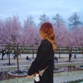 Логотип @nisesha - ksusha’s diary⋆˚ | нисеша