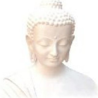 Логотип @nixgut - islamnixgut