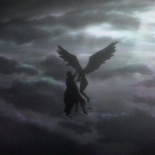 Логотип @nixil_team - SOLO VS ALL