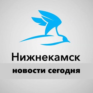 Логотип @nizhnekamsk_seychas - Нижнекамск | Новости сегодня