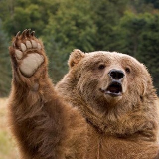 Логотип @nkiayu - Берлога AYU