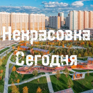 Логотип @nkrsvka - НЕКРАСОВКА СЕГОДНЯ