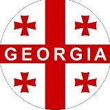 Логотип @nlevshitstelegram - Николай Левшиц - channel in Georgia / Грузия