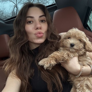 Логотип @nliife - NLife 🕊