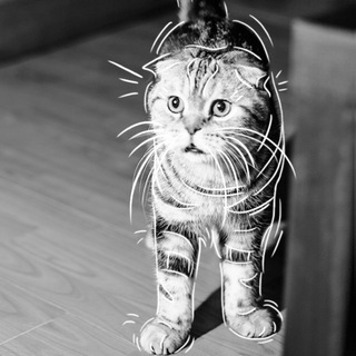 Логотип @nlpmeowsback - новий кіт нлп