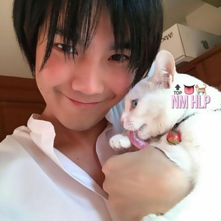 Логотип @nmhlp1 - перешел! ньюматериал🐈💨