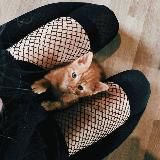 Логотип @nmnmnmmmnmm - ɢᴇᴍɪᴅᴏ ᴏsᴄᴜʀᴏ.