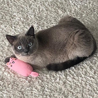 Логотип @nnanans - бб