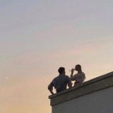 Логотип @nnilufars - dead butterflies