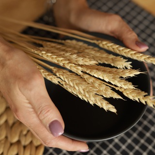 Логотип @nnkadnikova_food - РЕЦЕПТЫ #БезГЛЮТЕНА