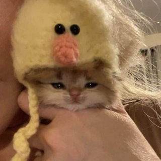 Логотип @no_brain_activity - No-brain activity