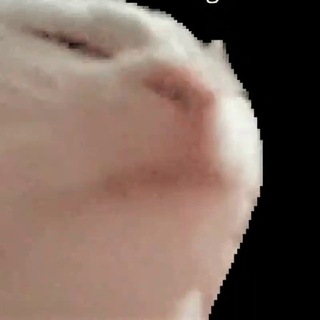 Логотип @no_gifs - картинки шевелятся